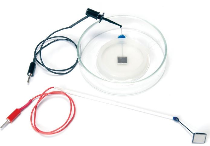 Petri Dish Platinum Electrodes and Chambers for Tissue Slices